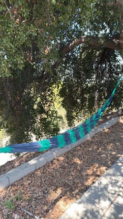 Hammocks