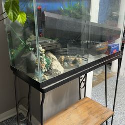 29 Gallon Fish Tank With Stand