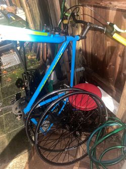 Single speed Bike