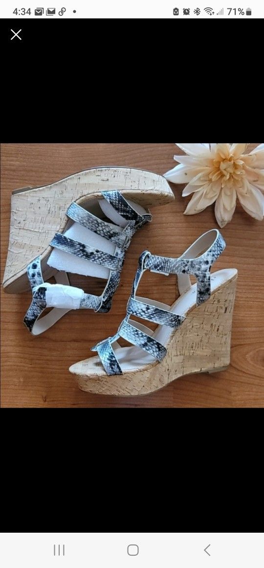 charles by charles David Arbor wedge