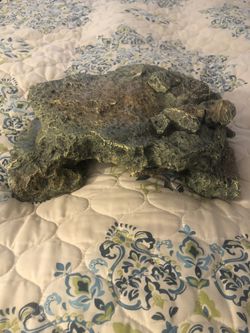 Fake decorative rock for dry aquarium