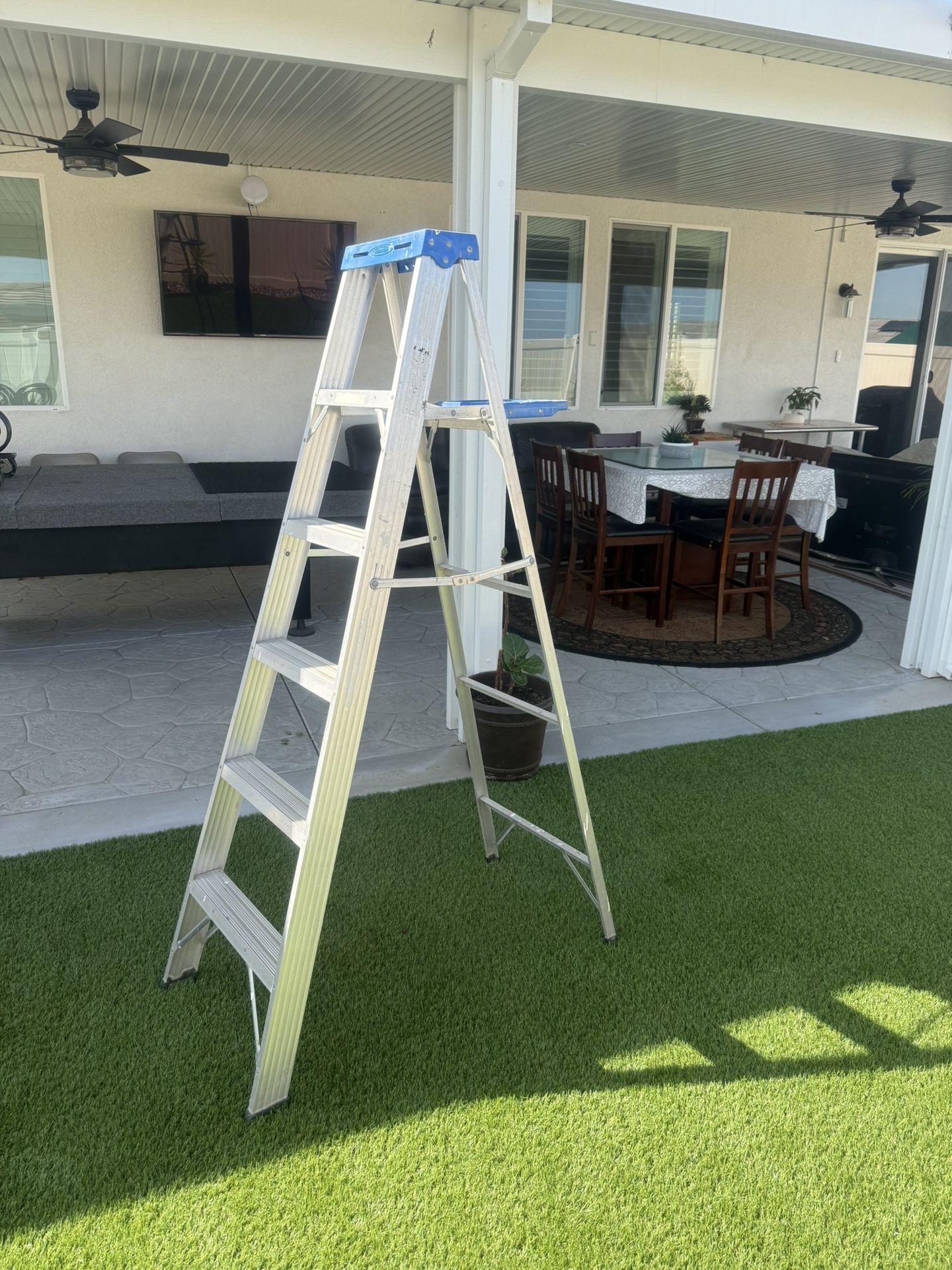 Werner Aluminum Ladder