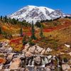 Washington 