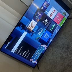 55in Roku Tv (Remote Included)