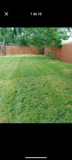 Good Afternoon Short Yards 