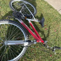 Roadmaster Sx 18 Mtn Bike