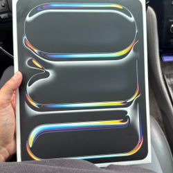 iPad Pro 13 256 GB 