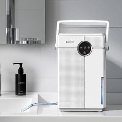 Portable Dehumidifier 