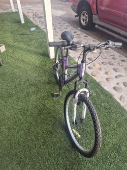 adult bicycle