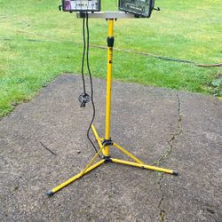 BULL DOG POWER LIGHT— 2 - 500 WATT LIGHTS