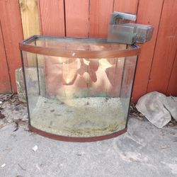 Bow Fish Tank