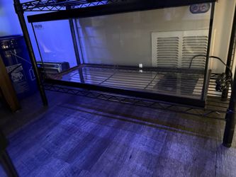 20 gallon reptile tank