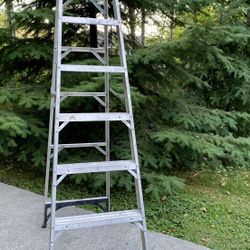Ladder  (7’6”)