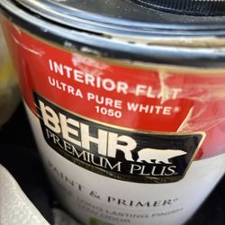 BEHR Premium Plus Paint And Primer 1 Gallon, And Brushes