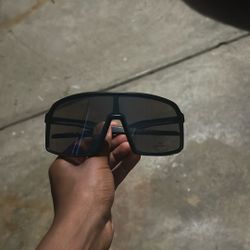 Sunglasses 