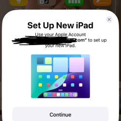 iPad Mini