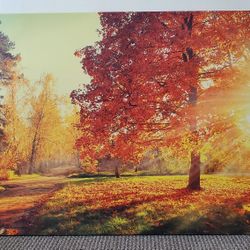 Art- Canvas "Autumn Sun"