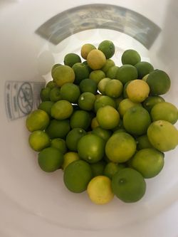 Limón mexicano chiquito y orgánico