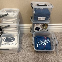 Corn Hole Bags(Look At Description)