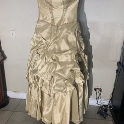 Dress (Quinceañera) Vestido #4