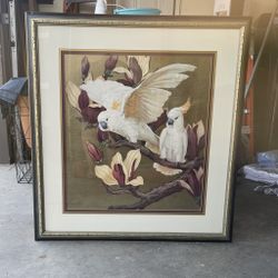 Yellow/white Macaw Artwork