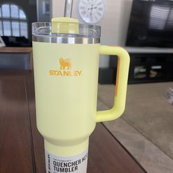 Sunshine Stanley 40oz Stainless Steel H2.0 FlowState Quencher Tumbler 