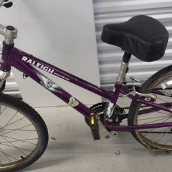 24inch raleigh