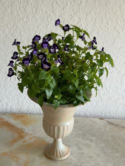 Ceramic Pedestal Urn Planter