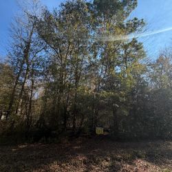 Investment Lot in Livingston TX – 4,051 sqft | Cash Buyers Only