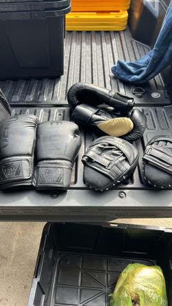 Boxing gloves and pads