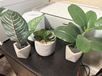 Plastic Desktop Succulents
