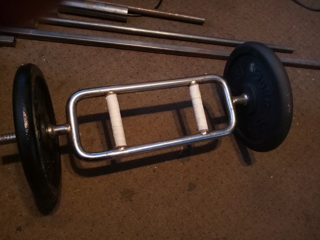 Weight Curl Bar