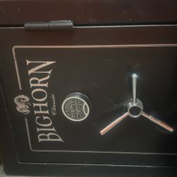 Bighorn Classic Gun Safe