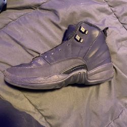 Jordan 12s