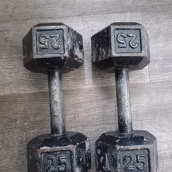 25 Lb Dumbbells Set