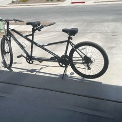 Schwinn Large Twin Bike