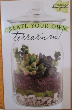 Build your own terrarium kit