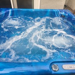 Spa Plug And Play 110v