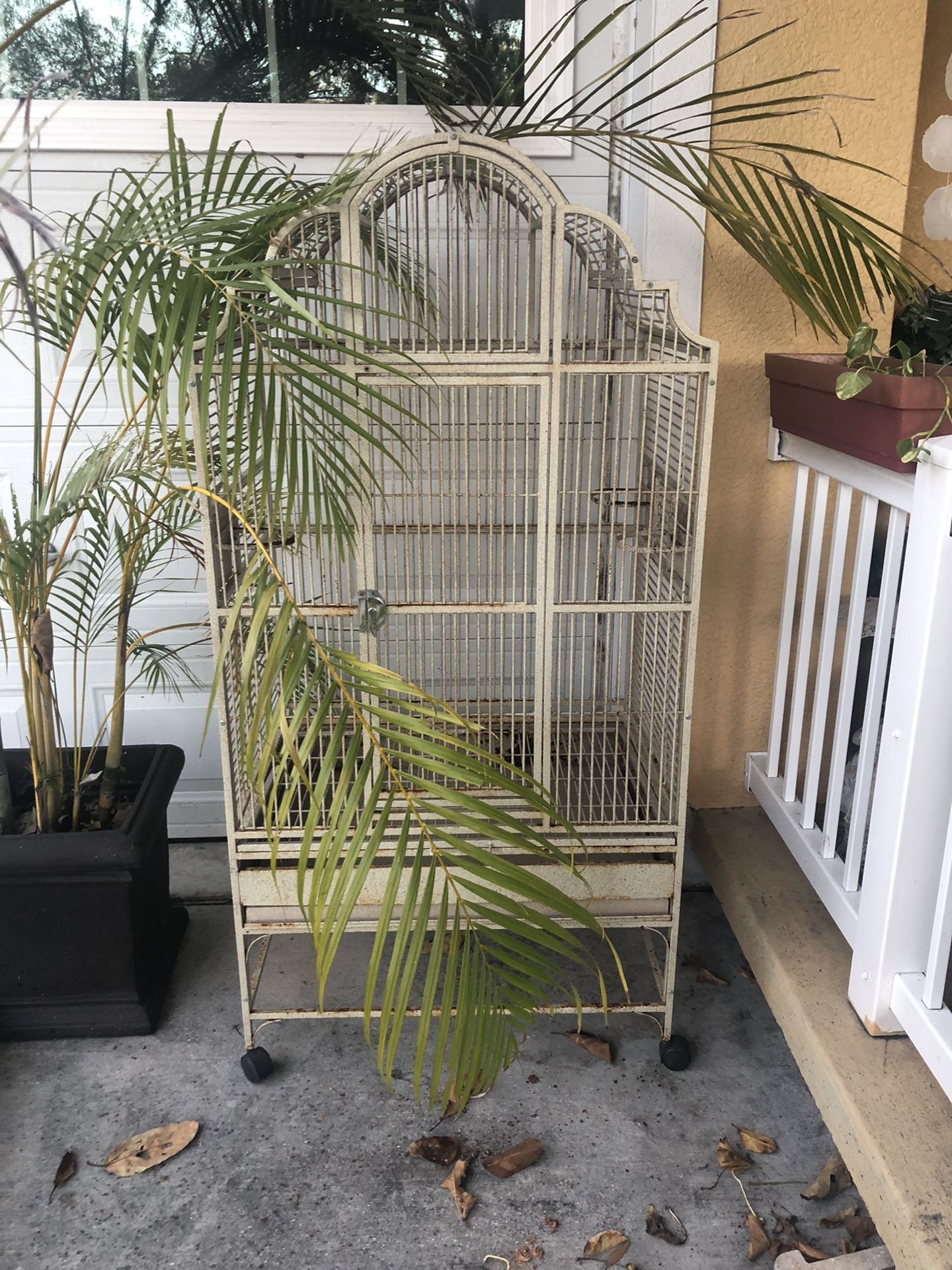 Bird Cage