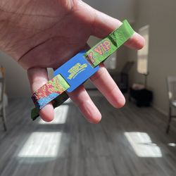 BEYOND WONDERLAND 2026