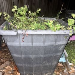 12 Heavy Duty Plastic Pots With Plants Very Heavy Pots 17”x18”