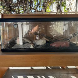 Reptile tank And Accessories 