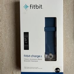 Fitbit Charge 2 Band Replacement Large