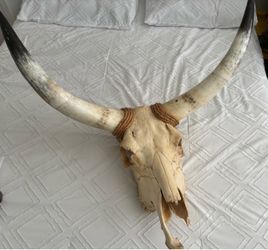 Authentic Longhorn Skull Wall Mount - Western Home Decor