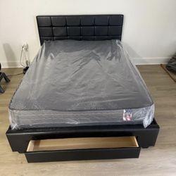 Queen Bed For Sale