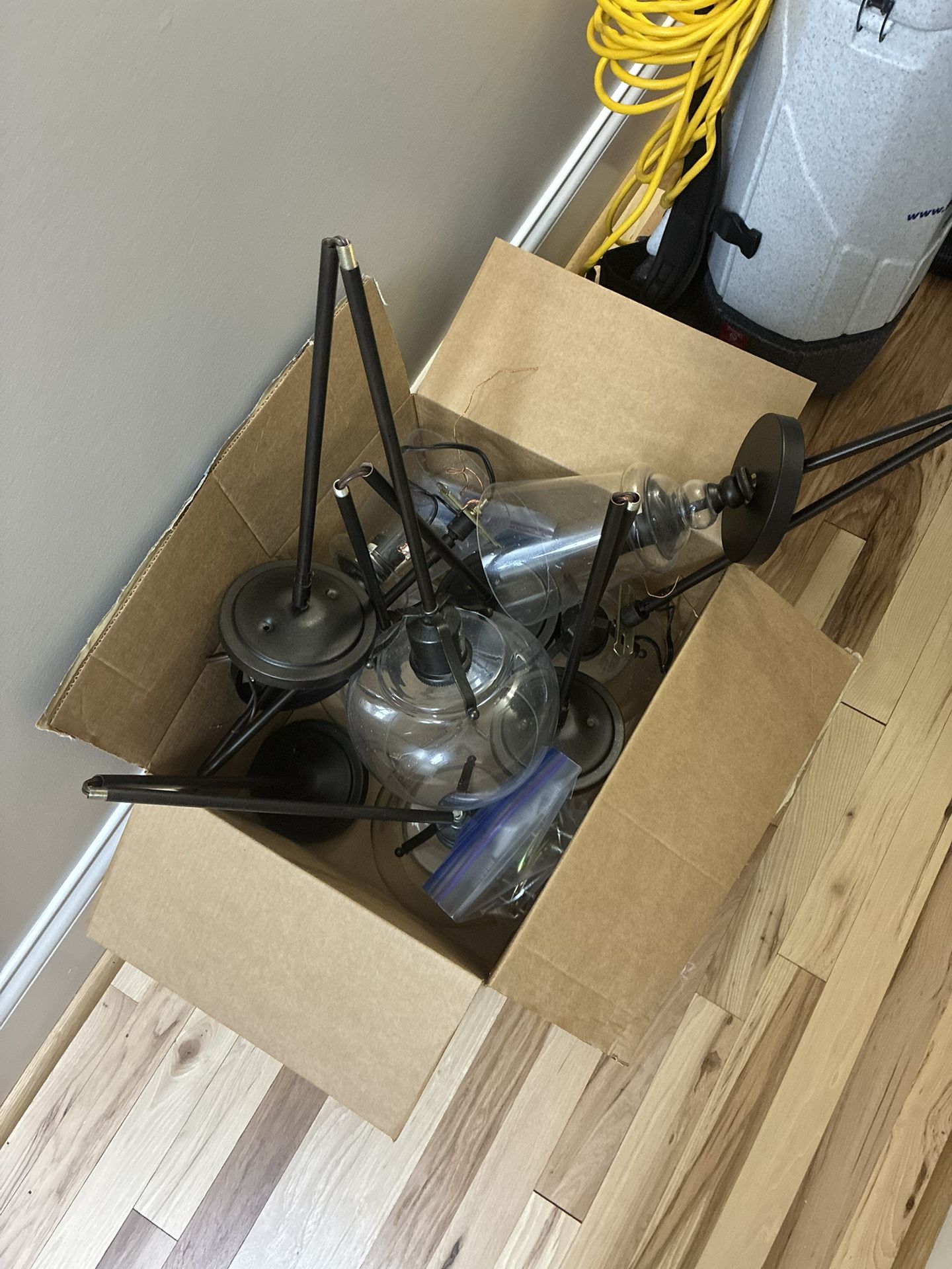 Pendant Lights
