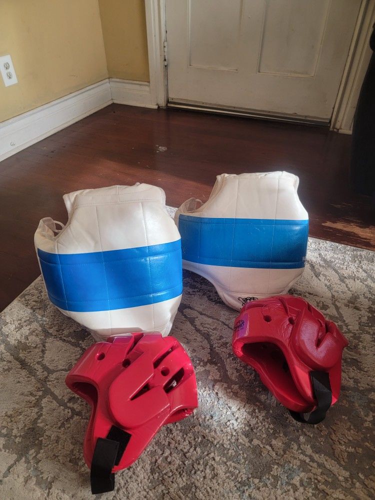 Masterline Youth Martial Arts, MMA, Boxing Sparring Chest Protectors Size 1 And Size 2 Masterline Head Gear Protector Size Medium