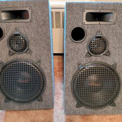 12" Acoustic Loud Speaker System, Model 9901