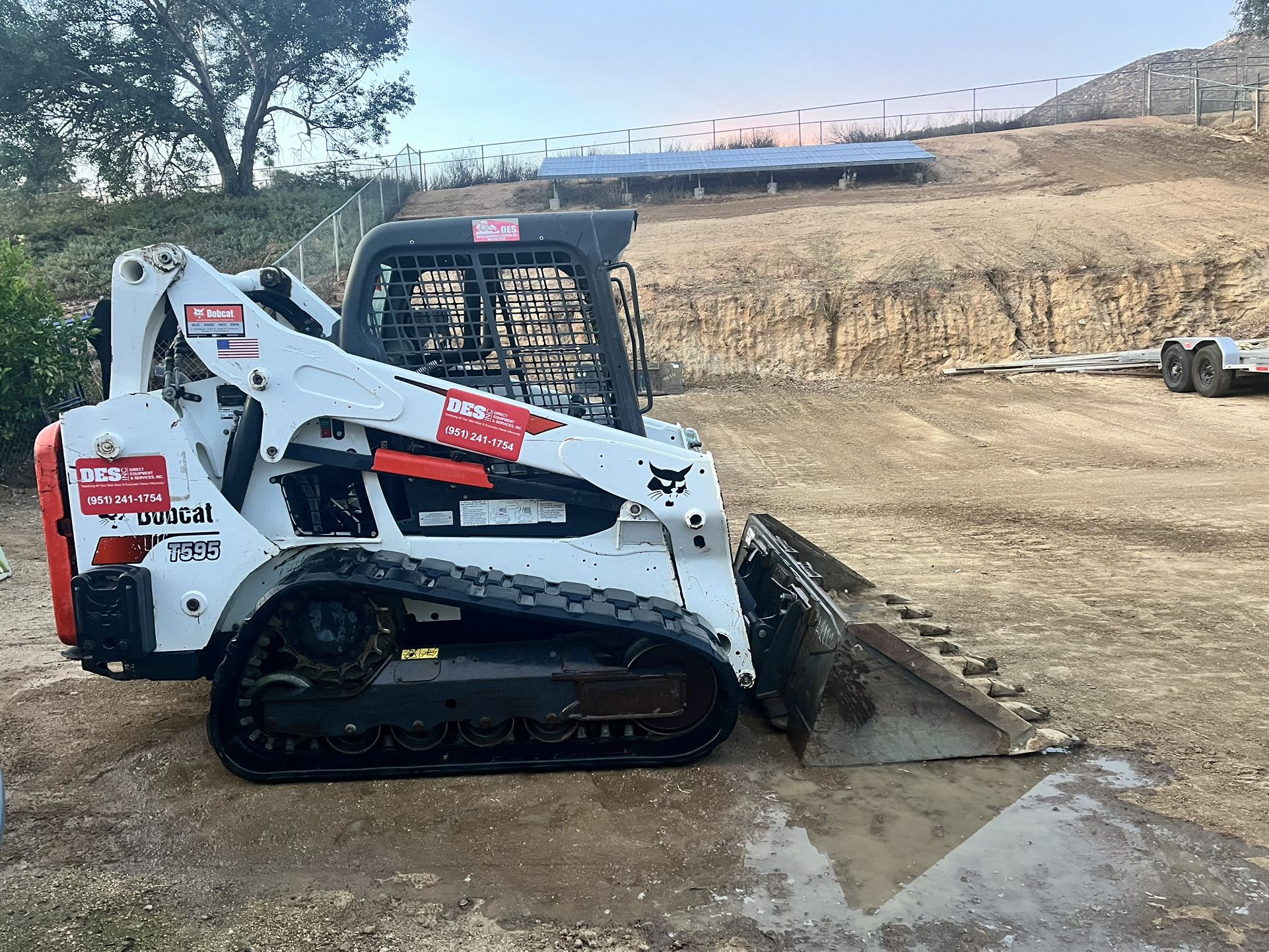 Bobcat
