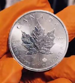 2015 silver maple leaf oz uncirculated